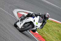 brands-hatch-photographs;brands-no-limits-trackday;cadwell-trackday-photographs;enduro-digital-images;event-digital-images;eventdigitalimages;no-limits-trackdays;peter-wileman-photography;racing-digital-images;trackday-digital-images;trackday-photos
